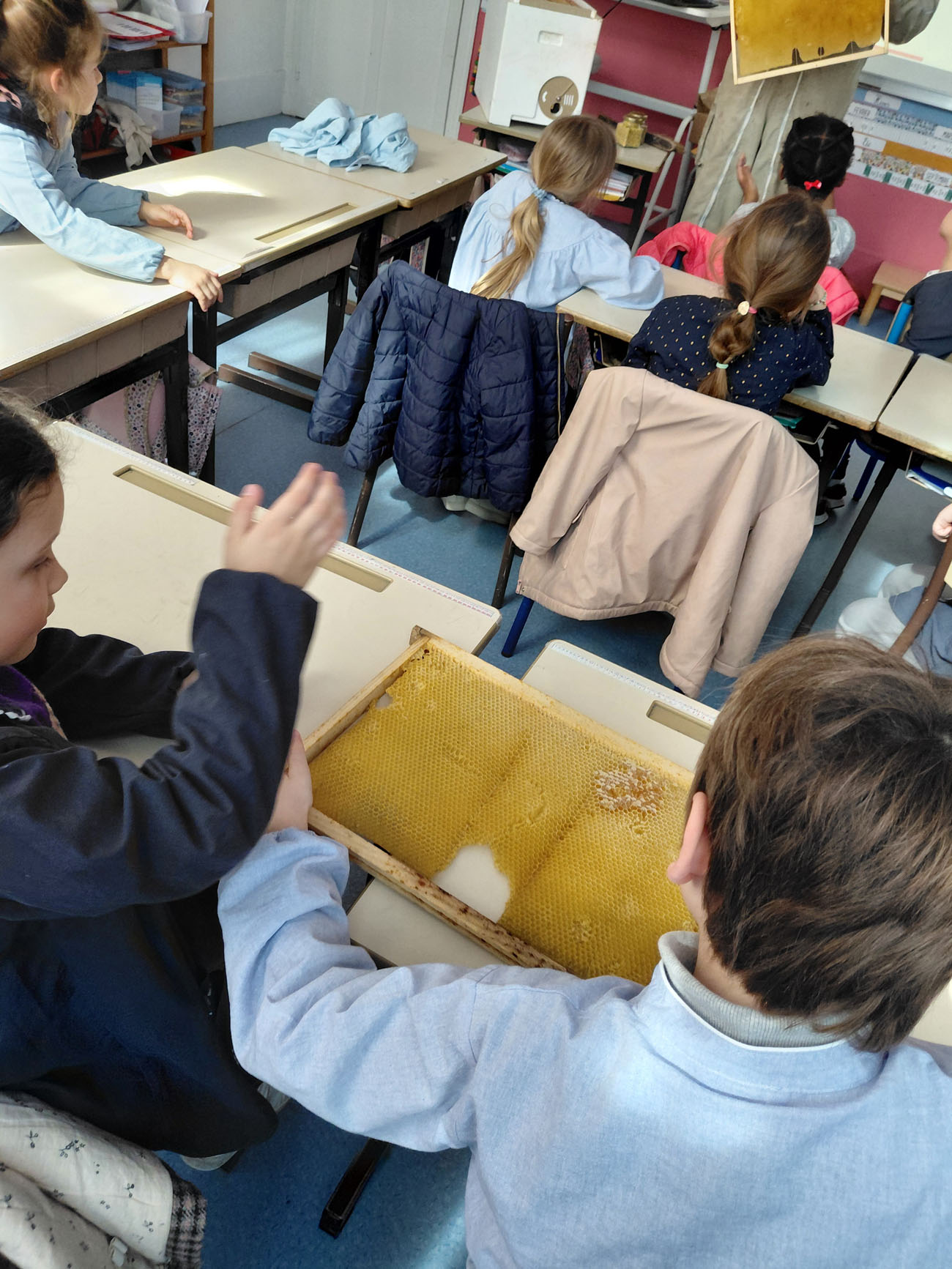 visite apiculteur école paris 