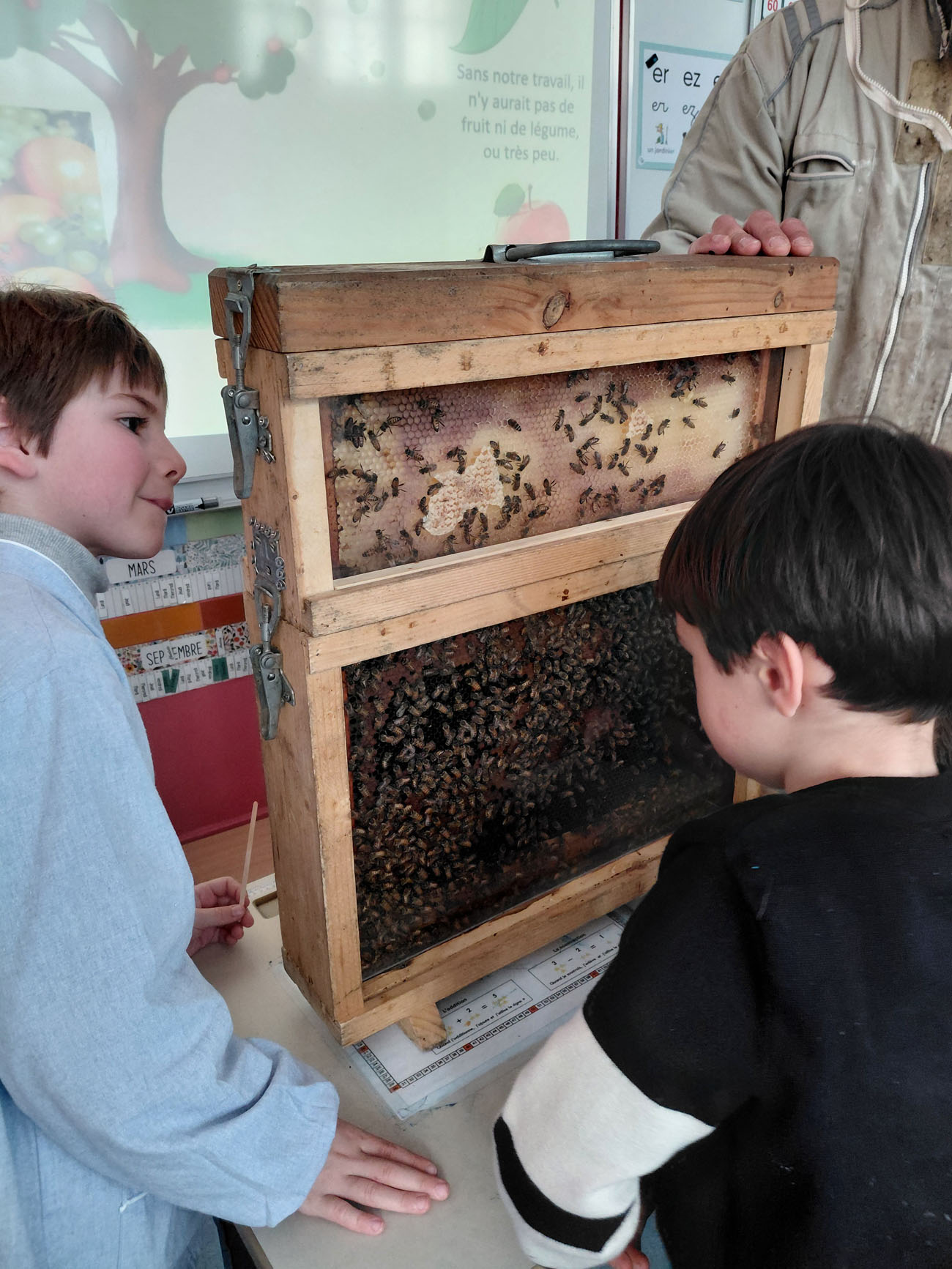 visite apiculteur école paris 