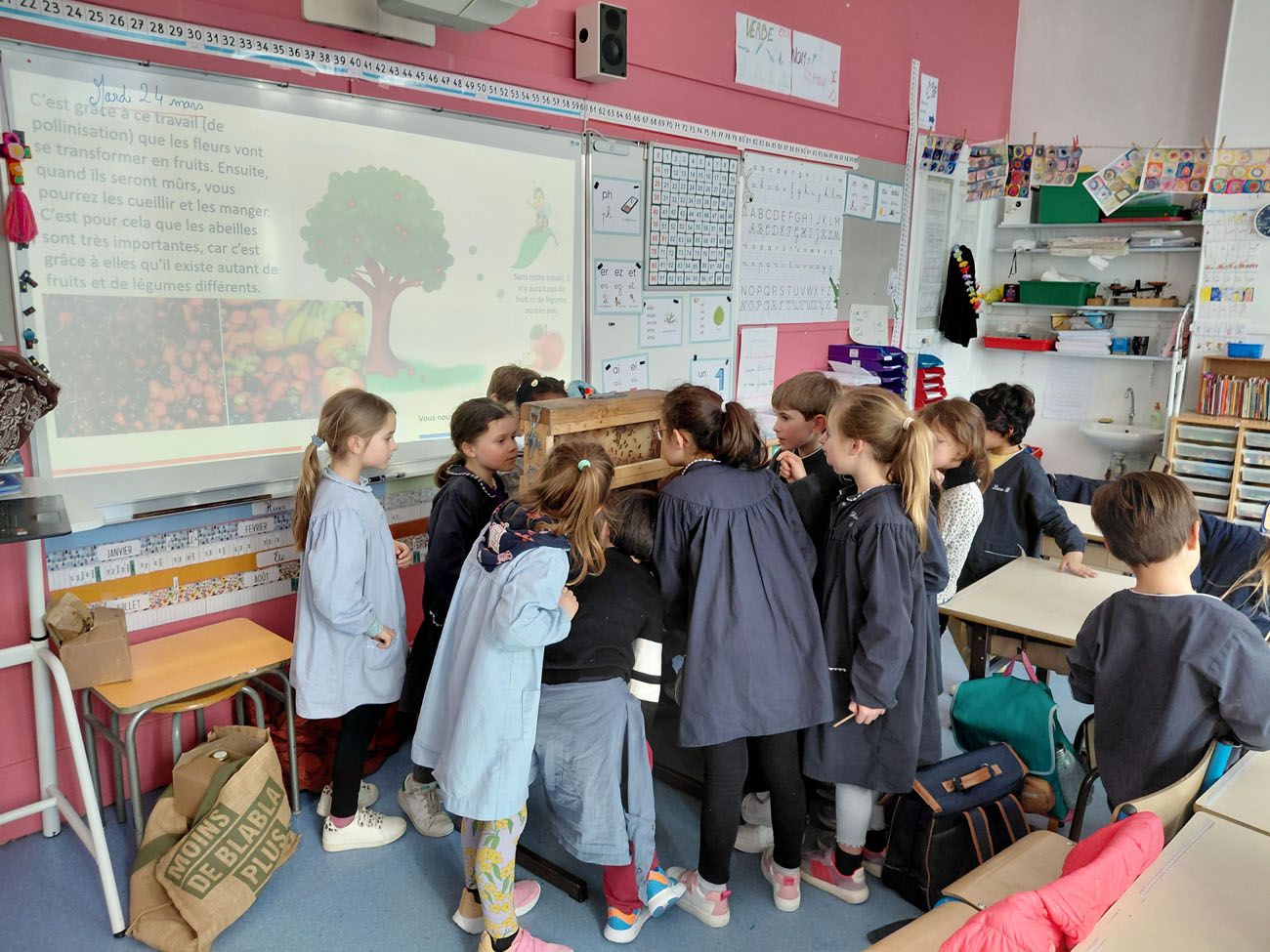 visite apiculteur école paris