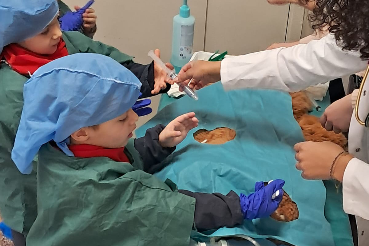 L'hôpital des nounours